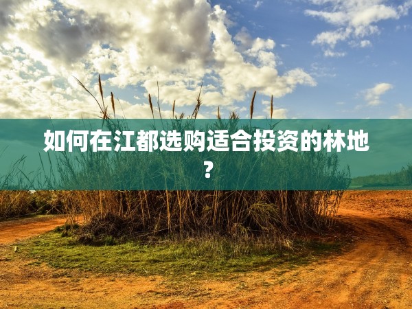 如何在江都選購(gòu)適合投資的林地？
