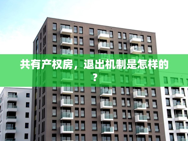 共有產(chǎn)權(quán)房，退出機(jī)制是怎樣的？