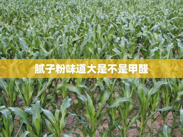 膩?zhàn)臃畚兜来笫遣皇羌兹? title=