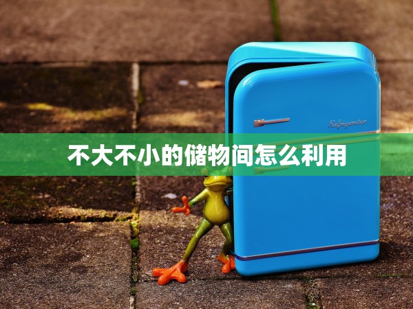 不大不小的儲(chǔ)物間怎么利用 不大不小的儲(chǔ)物間怎么利用