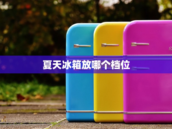 夏天冰箱放哪個(gè)檔位