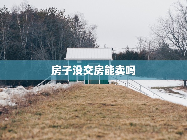 房子沒交房能賣嗎