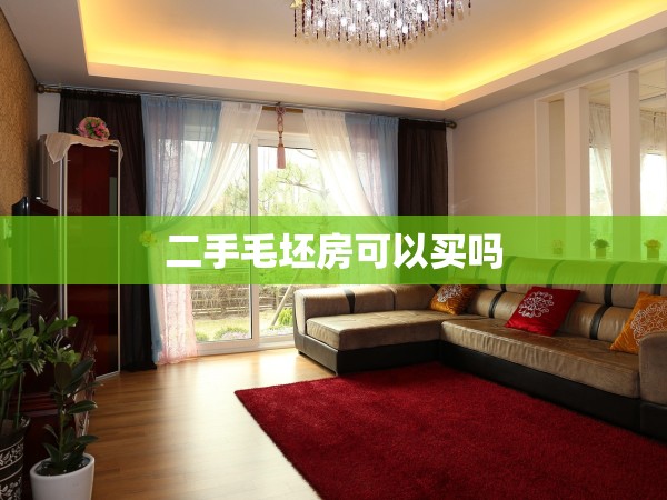 二手毛坯房可以買嗎