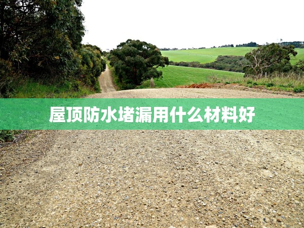 屋頂防水堵漏用什么材料好