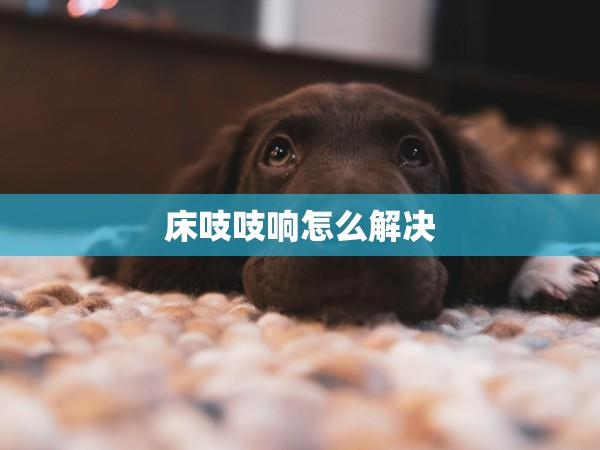 床吱吱響怎么解決 床吱吱響怎么解決