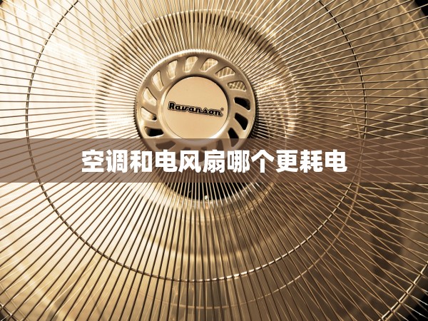 空調(diào)和電風(fēng)扇哪個更耗電 空調(diào)和電風(fēng)扇哪個更耗電