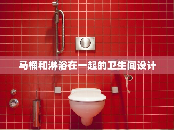 馬桶和淋浴在一起的衛(wèi)生間設(shè)計(jì) 馬桶和淋浴在一起的衛(wèi)生間設(shè)計(jì)