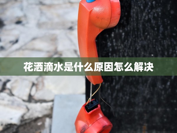 花灑滴水是什么原因怎么解決 花灑滴水是什么原因怎么解決